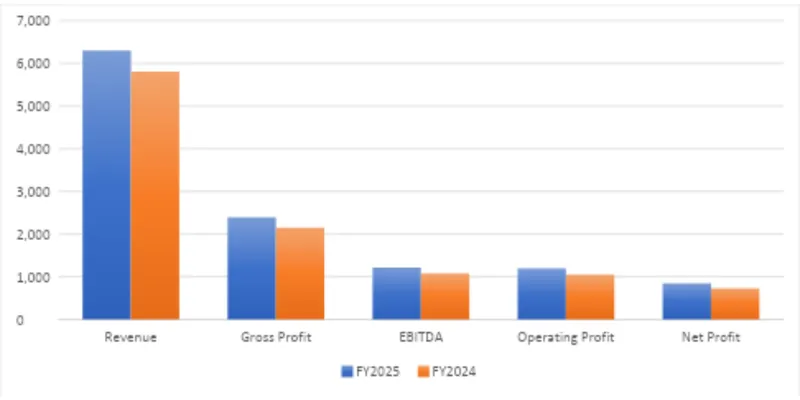 Financial Summary Table